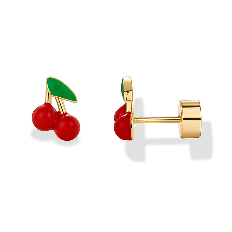 2pcs Cartilage Earrings Stud f - Body Jewelry Surgical Steel 评论和价格